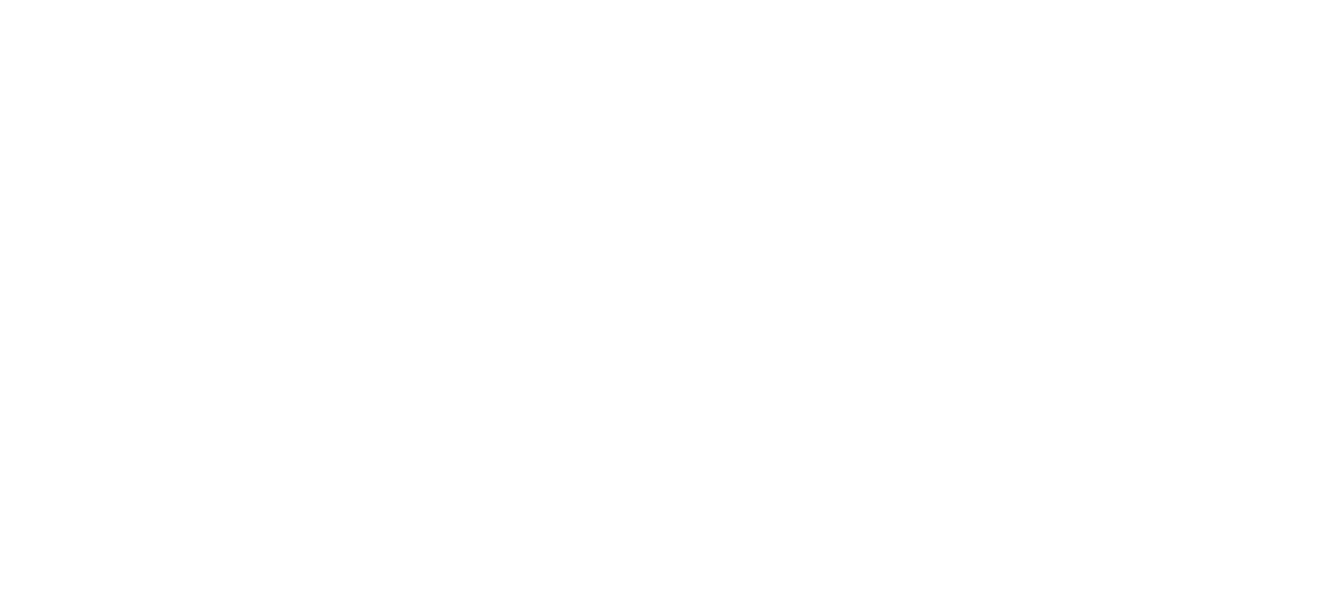 DDM NETWORK